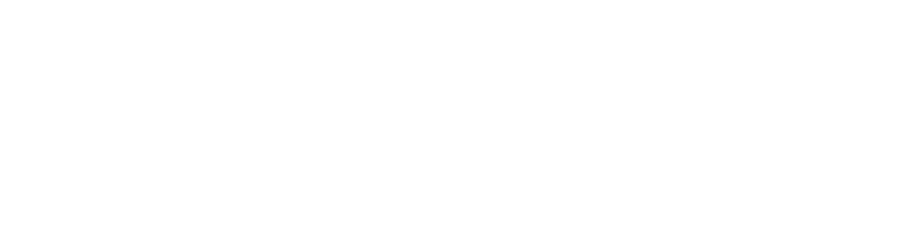 Aron Auto Parts